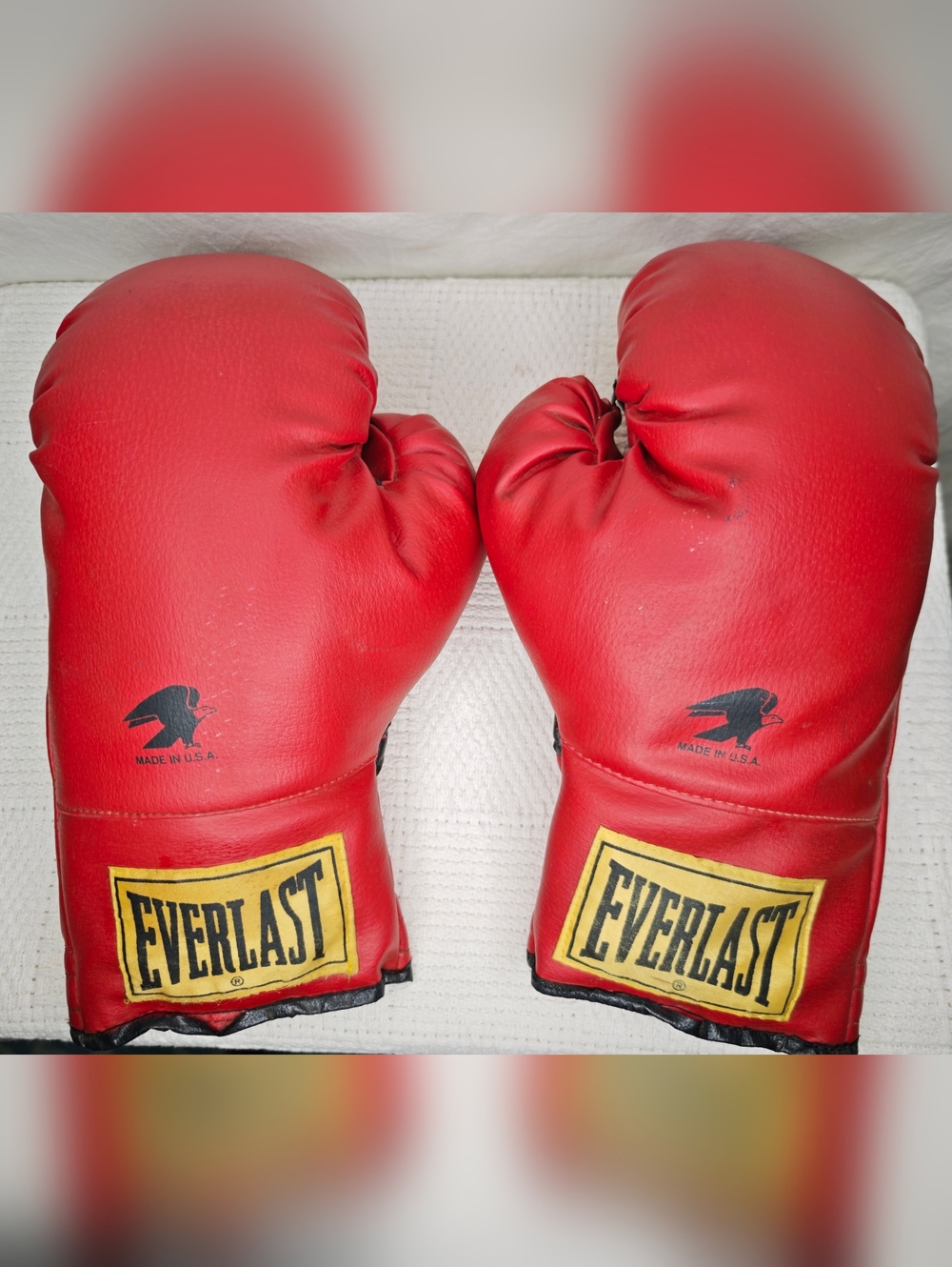 Everlast vintage 12oz boxing gloves